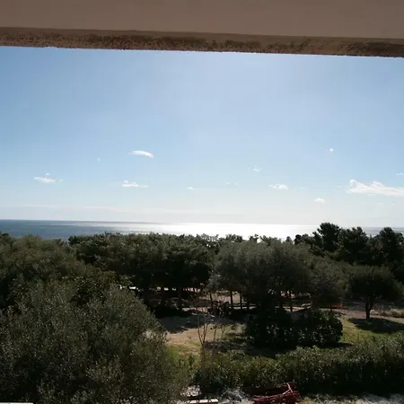 - Marina Cala Gonone